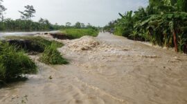 Luapan air yang merendam pemukiman warga, sedikitnya wilayah 3 RT, di Desa Bantarsari, kecamatan Bantarsari, Kabupaten Cilacap mulai surut, Sabtu (2/3/2024). (Dok. BPBD Kabupaten Cilacap)

