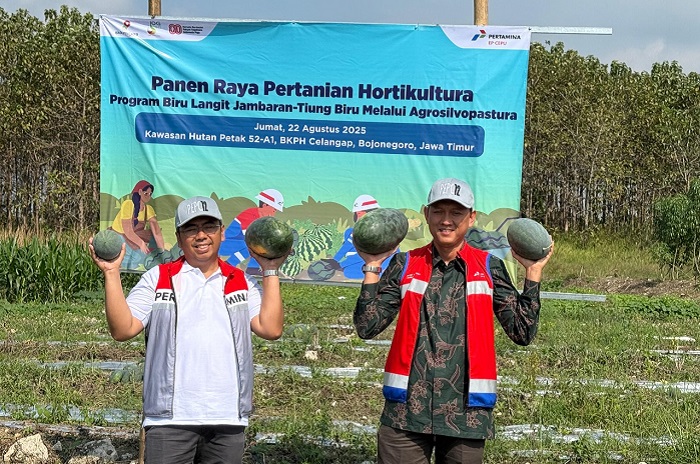 Semangka hasil panen program Biru Langit PEPC mencapai berat 4-5kg per buah berkat irigasi bertenaga surya yang optimal. (Dok. PT Pertamina EP Cepu)

